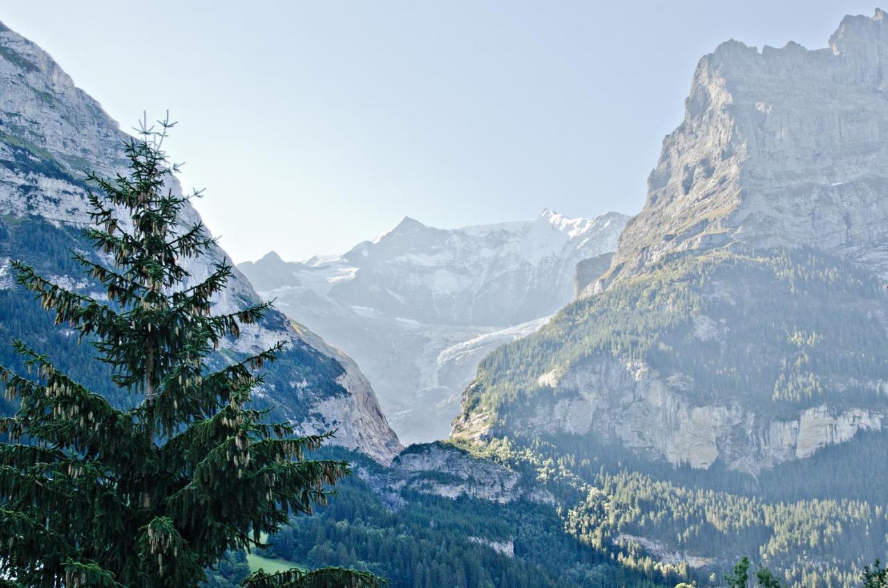 Apartment Felix - Griwa Rent Ag Grindelwald Exteriér fotografie
